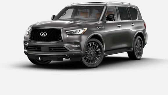 2022 QX80 ProACTIVE 7-Passenger 4WD in Anthracite Gray